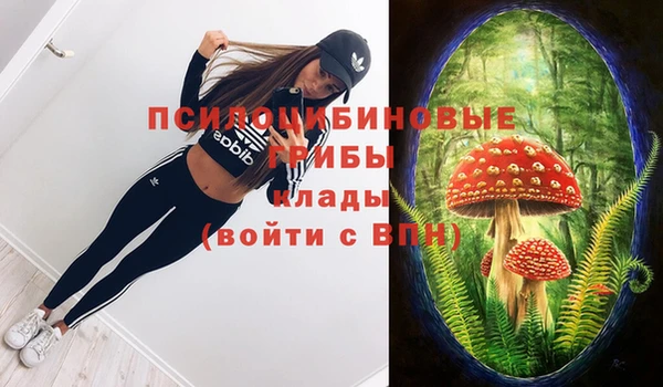 трава Арсеньев